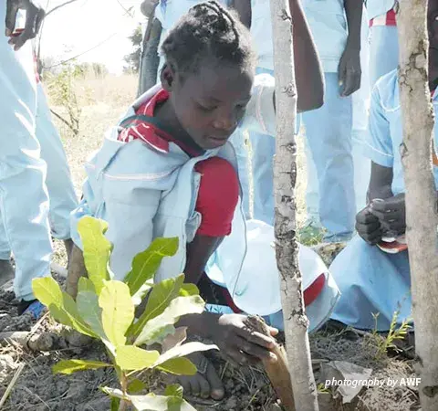 Photo of child tending planted seedling 