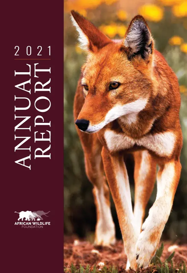 AWF 2021 Annual Report (English)