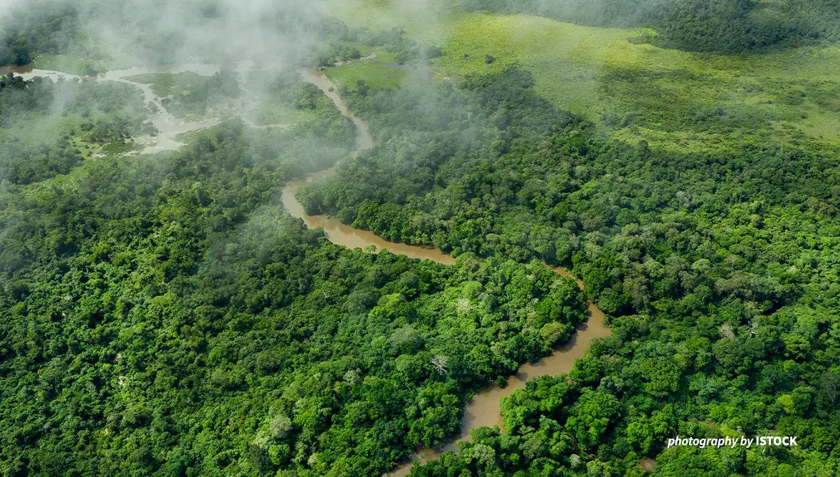 Aerial shot of Congo Basin rainforest