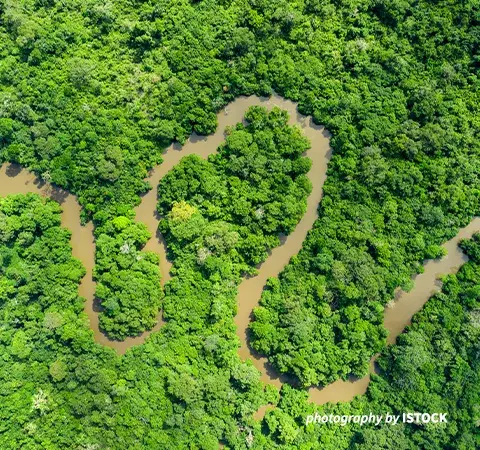 Winding river in Congo Basin rainforest