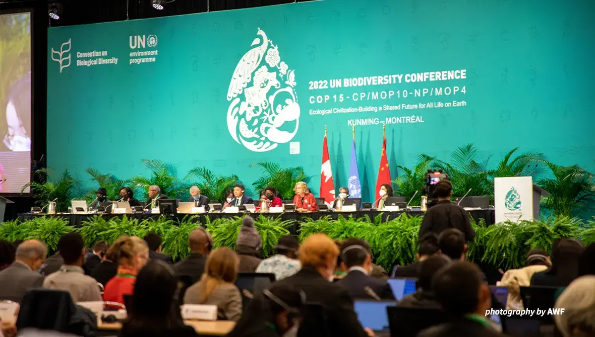 Photo of panel at COP15