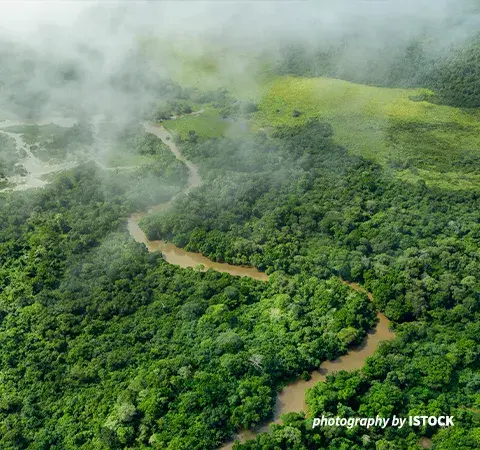 Aerial shot of the Congo Basin Rainforest