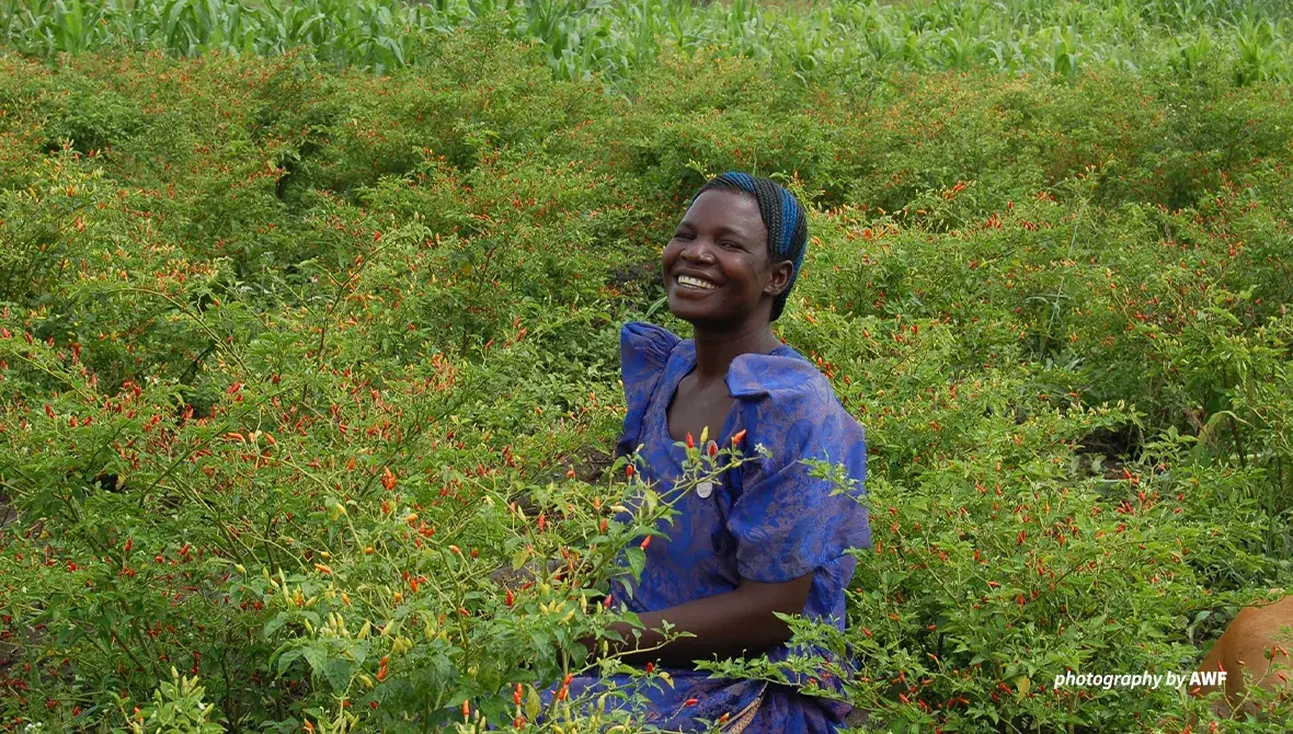 A farmer sits among her chili farm