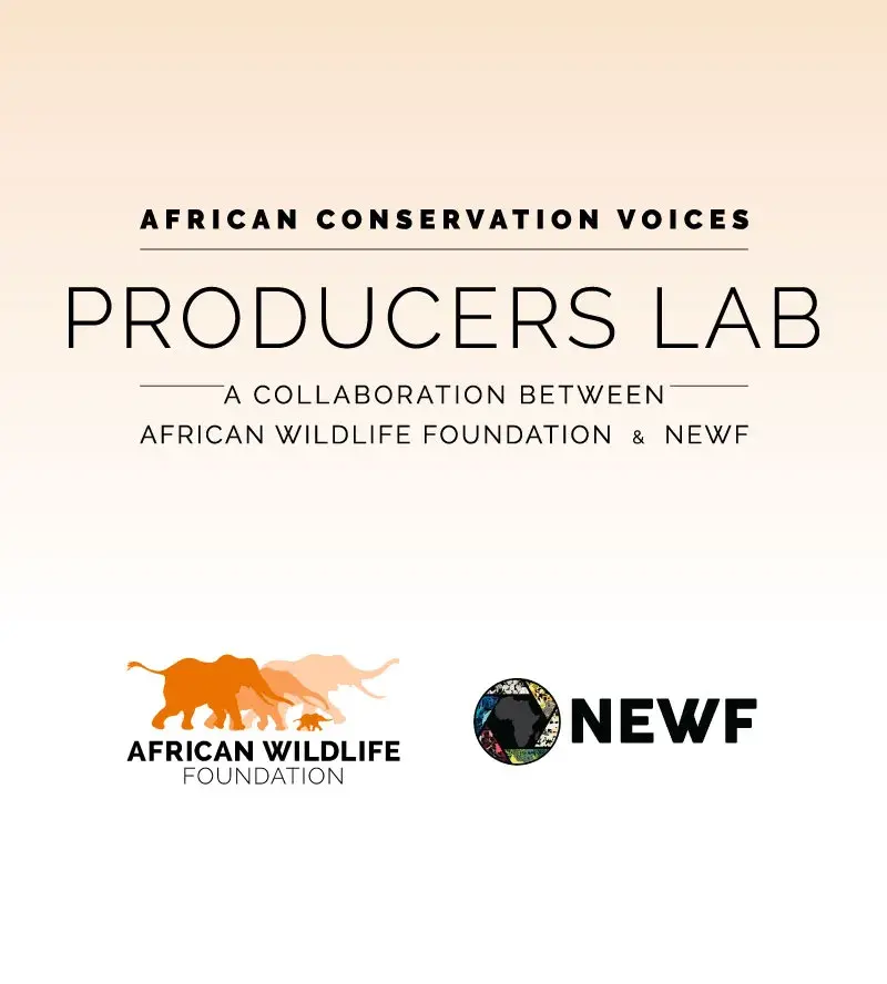 ACV: Producers Lab