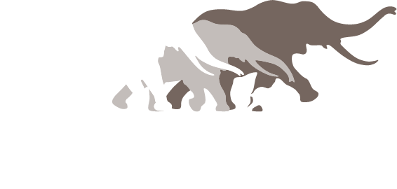 African Wildlife Foundation